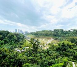 Normanton Park (D5), Apartment #459246591
